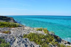 Costa selvaggia con il mare turchese a Cayo Largo, Cuba. Si tratta di uno dei luoghi del Mare dei Caraibi dove regna ancora la fauna selvatica.

