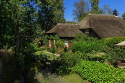 Cottages lungo il canale di Giethoorn, Paesi Bassi. Conosciuta come la Venezia d'Olanda, questa bella località turistica è nota per i ponti e i canali immersi nel verde del ...