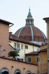 Cupola della Basilica della Madonna dell'Umiltà di Pistoia, Toscana - La cupola del Vasari si ispira a quella di Santa Maria del Fiore a Firenze © Claudio Giovanni Colombo / ...