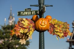 Decorazione in stile Halloween a Disneyland Paris in ottobre - © news.disneylandparis.com