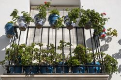 Decorazioni floreali sul balcone di una casa a Priego de Cordoba, Spagna.




