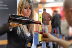 Degustazioni vino al Salone del Gusto di Torino - © Antonello Marangi / Shutterstock.com
