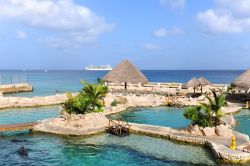 Il delfinario di Cozumel è unafamosa attrazione dell'isola caraibica messicana - foto © Shutterstock.com
