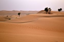 Il deserto è un componente basilare del ...