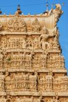 Dettaglio della facciata del tempio di Padmanabhaswamy a Trivandrum, Kerala, India. E' stato costruito con una fusione di stile tipico del Kerala e di stile dravidico. L'ingresso è ...