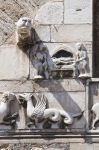 Un dettaglio della facciata del Palazzo Comunale di Narni - © Mi.Ti. / Shutterstock.com