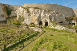 Dimore troglodite nel parco archeologico di Akrai, Palazzolo Acreide, Sicilia. I primi scavi di questa zona vennero condotti dal barone Gabriele Iudica nel corso del primo trentennio dell'800: ...
