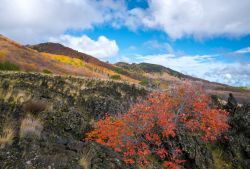 Discesa al vulcano Etna con i bellissimi colori della natura, Acireale, Sicilia.

