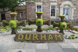 Disegni floreali nel centro storico di Durham, Inghilterra.
