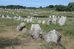 Distesa di menhirs a Carnac, Bretagna, Francia. Menhirs ma anche dolmen e tumuli rappresentano le più vecchie architetture monumentali dell'umanità e costellano il paesaggio ...