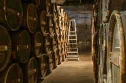Distillerie Otard a Coganc, Nuova Aquitania, Francia: le botti in legno nelle cantine dell'azienda produttrice di liquore - © Evgeny Shmulev / Shutterstock.com