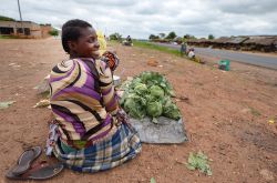 Una donna con bambino al mercato giornaliero di Lusaka, Zambia. Ogni lunedì la cittadina ospita un grande e colorato mercato - © africa924 / Shutterstock.com