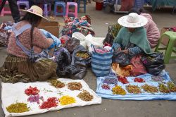 Donne in abiti tradizionali vendono petali di fiori in una strada del mercato di Oruro, Bolivia - © JeremyRichards / Shutterstock.com