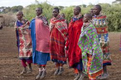 Donne Masai con abiti tradizionali durante una danza, Amboseli, Kenya. Questa popolazione veste con teli leggeri di cotone su cui poi viene poggiata la shuka, una coperta di cotone a quadri ...
