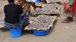 Donne vendono pesce essiccato in un mercato della città di Kigali, Ruanda (Africa).
