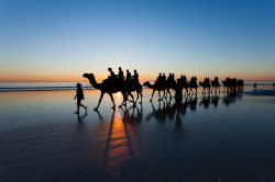 Dromedari con turisti passeggiano su Cable Beach al tramonto nella città di Broome, Australia Occidentale. E' una delle attrazioni turistiche più popolari.




