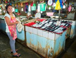Due donne vendono pesce al mercato centrale di Puerto Princesa, isola di Palawan, Filippine - © Michael Wels / Shutterstock.com