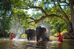 Due uomini fanno il bagno agli elefanti in un fiume nel distretto di Sangkhlaburi, Kanchanaburi, Thailandia - © Palo_ok / Shutterstock.com