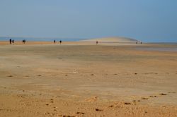 Escursione alla Duna Bianca, Dakhla: vi si giunge con un 4x4, che poi viene lasciato a debita distanza per permettere alle persone di godersi una passeggiata nel deserto fino alla grande duna ...