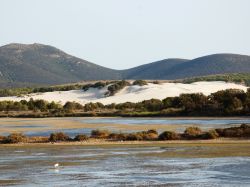 Duna bianca di sabbia nei pressi di Porto Pino in Sardegna