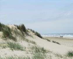 Dune di sabbia con erba lungo la costa nei pressi della città di Blankenberge, Belgio.
