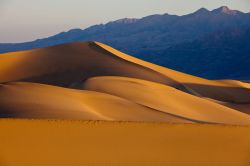 Le dune di sabbia di Mesquite Flat, Death Valley, California. Alte circa 30 metri, queste dune rappresentano il primo approccio alla Death Valley per i neofiti del parco. Non sono le più ...