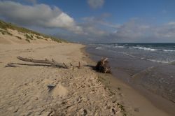 Dune di sabbia lungo la spiaggia selvaggia di Bamburgh in Inghilterra