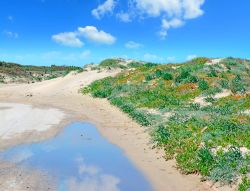 Dune di sabbia tra la spiaggia e lo stagno di Platamona in Sardegna