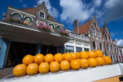Edam e i formaggi tipici olandesi esposti in strada - © francesco de marco / shutterstock.com