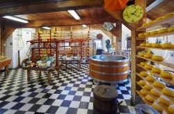 Edam: produttore formaggio Edammer, Olanda - © Eric Gevaert - Fotolia.com