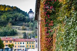 Edera di Boston con foliage autunnale sul Palazzo dei Capitani a Palazzuolo sul Senio, Toscana - © GoneWithTheWind / Shutterstock.com