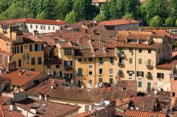 Edifici storici in piazza dell'Anfiteatro visti dall'alto a Lucca, Toscana. Questo spazio pubblico è stato edificato sui resti dell'antico anfiteatro romano e si presenta ...