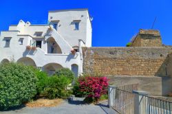 Edifici tradizionali dalla Terra Murata sull'isola di Procida, baia di Napoli, Campania. Questa fortificazione edificata sul punto più alto dell'isola è raggiungibile solo ...