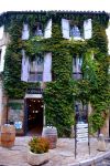 Un edificio coperto di vegetazione del centro storico di Lourmarin, nel parco regionale del Luberon (Francia).

