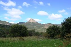 Il Cerro El Órgano è una montagna alta 2405 metri s.l.m. nello stato di San Luis Potosí, nel Messico centrale - © ralvarado, CC BY 3.0, Wikimedia ...