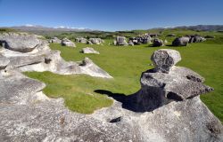 Elephant Rocks nei pressi di Dunedin, Nuova Zelanda. Queste rocce sono i resti della formazione calcarea di Otekaike. Sono sparse su una collina in un'area di circa 200 metri - © davidelliottphotos ...