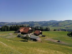 Emmental, la Valle del formaggio Emmental in Svizzera.