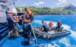L'equipaggio della Caledonian Sky assiste i turisti al ritentro della visita sulle isole Pitcairn, Oceania - © Keith Michael Taylor / Shutterstock.com