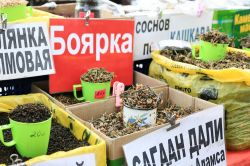 Erbe e spezie presso il Mercato Centrale (Tsentral'nyy Rynok) di Irkutsk, Russia - © Julie Mayfeng / Shutterstock.com