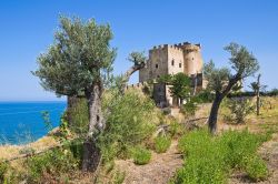 Escursione al castello di Roseto Capo Spulico, tra ulivi e macchia meditterranea sulla costa nord-orientale della Calabria