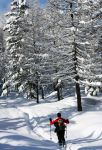 Escursione con le ciaposle nei boschi di Bognanco in Piemonte, in inverno
