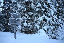 Escursione con le ciaspole in località Plan de Gralba in Val Gardena - © Foto S. Vietto Ramus e Massimo Valentini