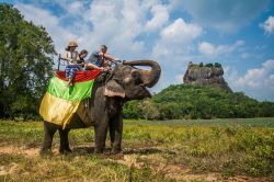 Un gruppo di turisti in un'escursione con l'elefante e, sullo sfondo, la Lion Rock sulla quale si trova la fortezza di Sigiriya (Sri Lanka) - foto © shutterlk / Shutterstock.com ...