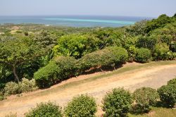 Escursioni in fuoristrada a Roatan, Honduras - E' decisamente rigogliosa e selvaggia la natura che caratterizza quest'isola dell'Honduras dove si può andare alla scoperta ...