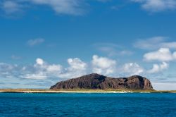 Una bella escursione in barca alle isole Galapagos, distribuite a nord e sud dell'Equatore che attraversa la parte settentrionale dell'isola Isabela, più grande di questo arcipelago ...