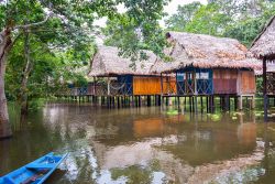Escursione in barca nella foresta amazzonica a Iquitos in Peru. Iquitos è la più grande città continentale non raggiungibile via terra: vi si può arrivare attraverso ...