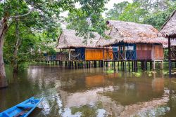 Escursione in barca nella foresta amazzonica a Iquitos in Peru. Iquitos è la più grande città continentale non raggiungibile via terra: vi si può arrivare attraverso ...