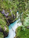 Escursione in una delle gole intorno a Leutasch in Tirolo (Austria)