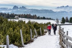 Escursione invernale sopra a Villandro in Alto Adige - © Philip Bird LRPS CPAGB / Shutterstock.com