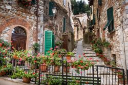 Escursione lungo le stradine del borgo di Montieri in Toscana